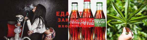 индика Ивантеевка