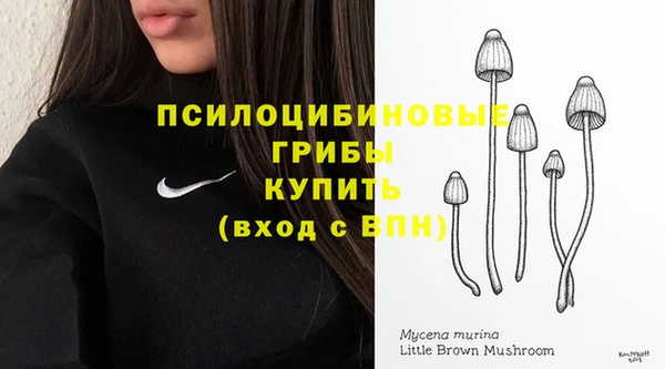 шишки Бронницы