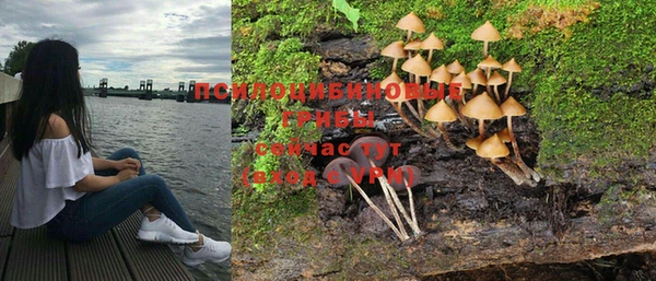 шишки Бронницы