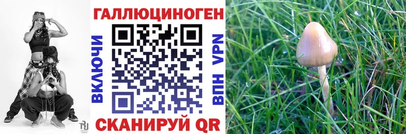 Псилоцибиновые грибы GOLDEN TEACHER  mega зеркало  Оха 